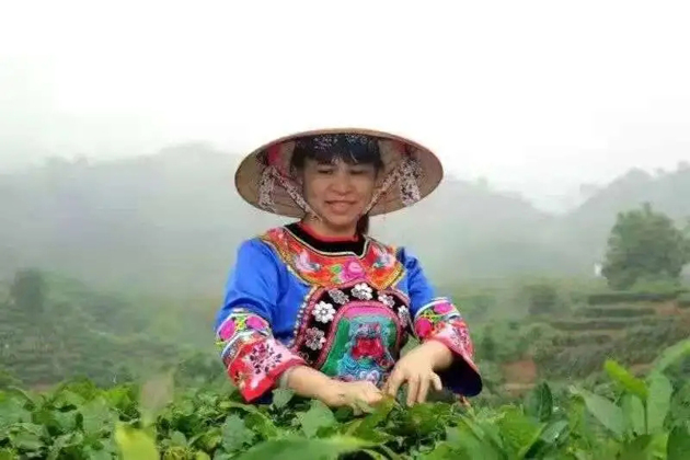 【梧州工匠】劉錦芳：鉆研和創(chuàng)新，帶領(lǐng)鄉(xiāng)親發(fā)家致富