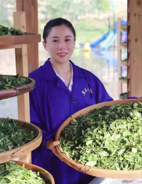 【梧州工匠】石濡菲：擇一茶，修一技，終一生