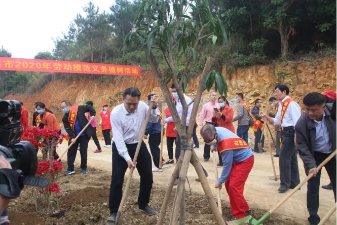 植樹造林，這群楷模這樣做