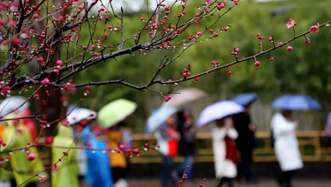 今日雨水！別忘了咱的老講究！