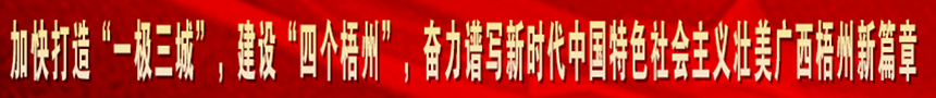 加快打造“一級(jí)三城市”，建設(shè)“四個(gè)梧州”，奮力譜寫(xiě)新時(shí)代中國(guó)特色社會(huì)主義壯美廣西梧州新篇章
